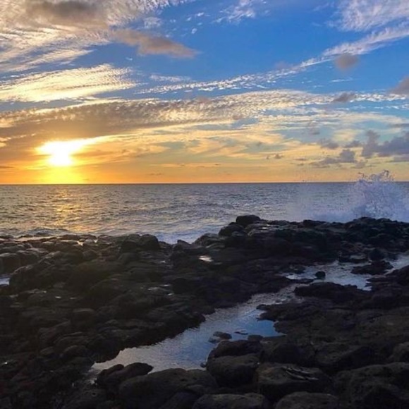 Meet your Posher, Simone - Picture 1 of 1